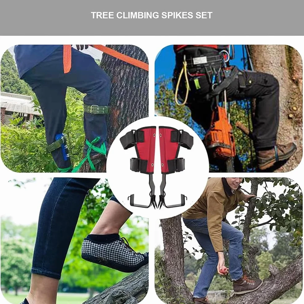 Crampons d'arbre à l'escalade Équipement grimpe arbre avec gants et sangles de pied