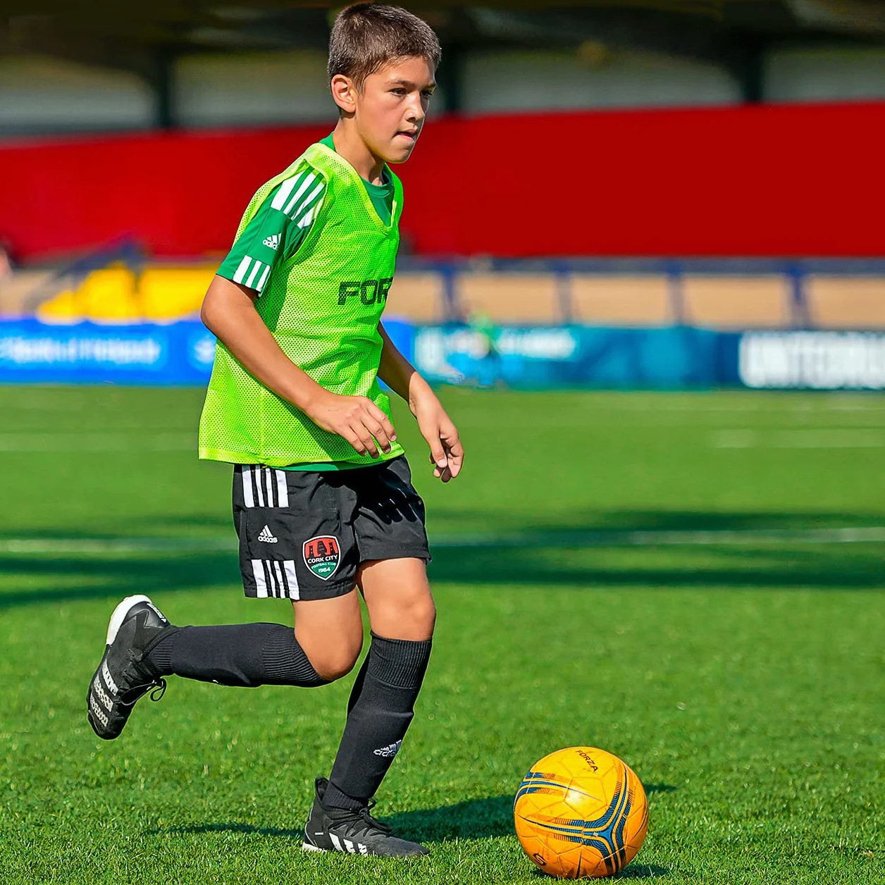 FORZA Chasubles d’Entraînement Pack de 15 | Léger, Tailles/Couleurs Multiples pour Adultes et Enfants | Football, Rugby, Hockey, Handball