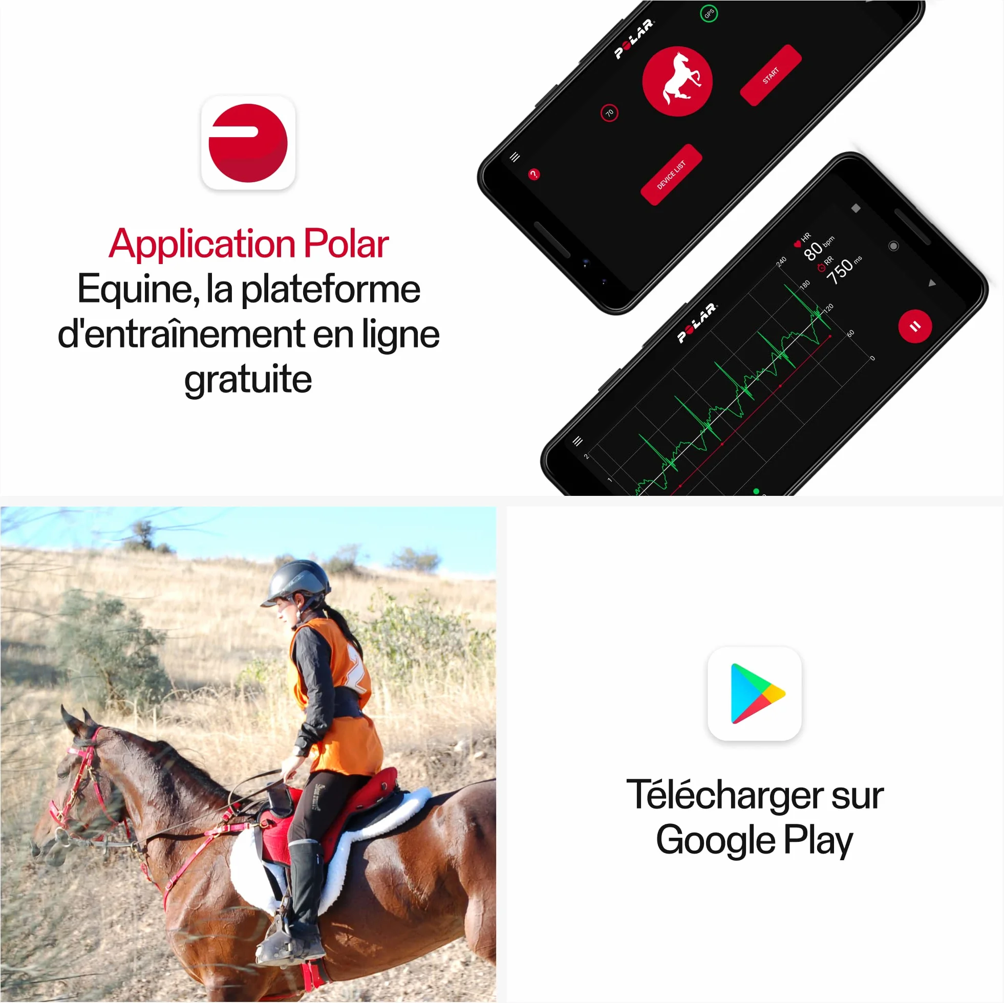 Polar Cardiofréquencemètre pour Cheval, Noir, Taille Unique EU