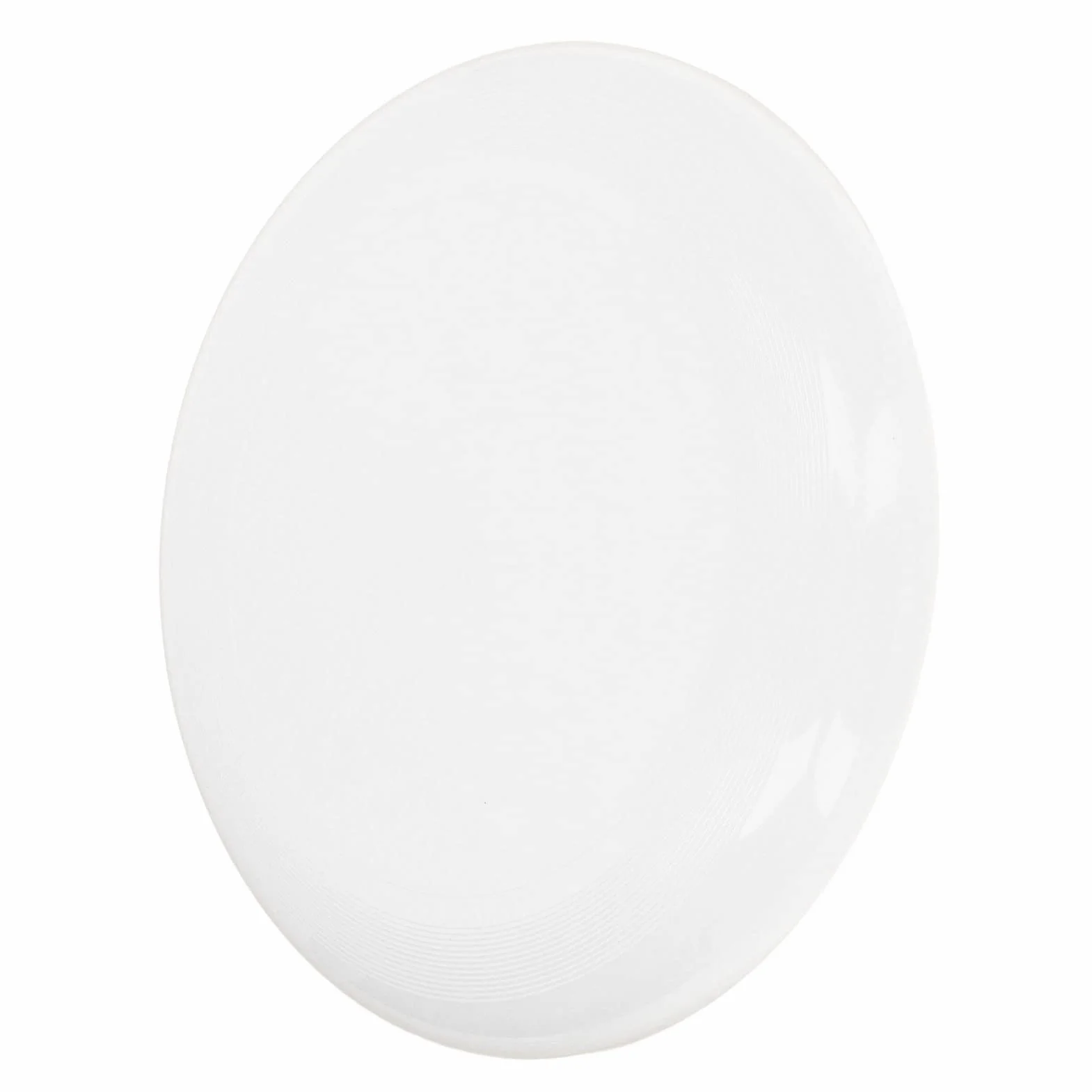 Disque de sport Ultimate 27 cm Blanc Professionnel Gazon