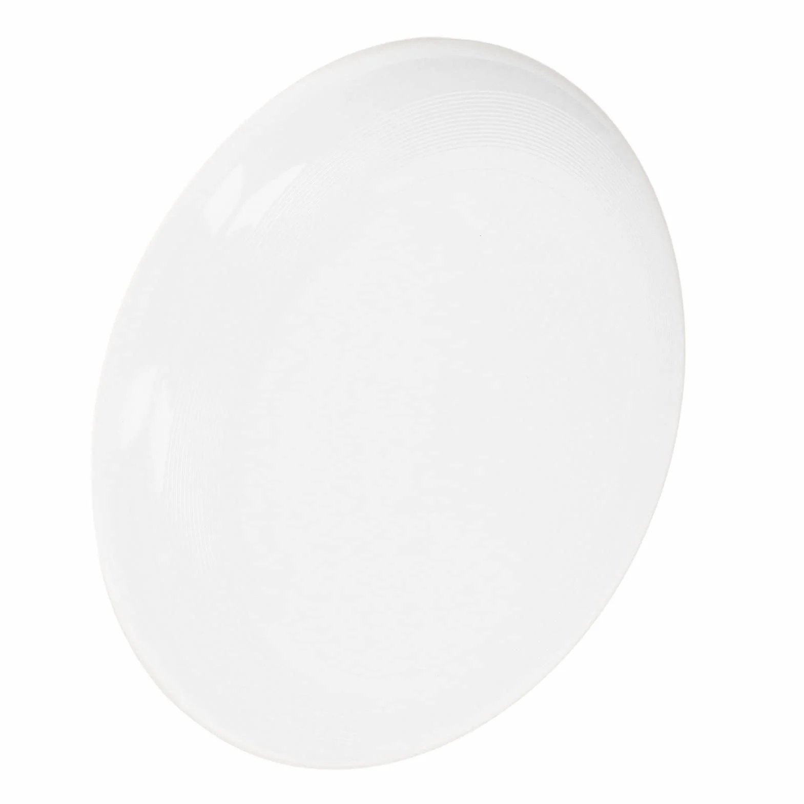 Disque de sport Ultimate 27 cm Blanc Professionnel Gazon