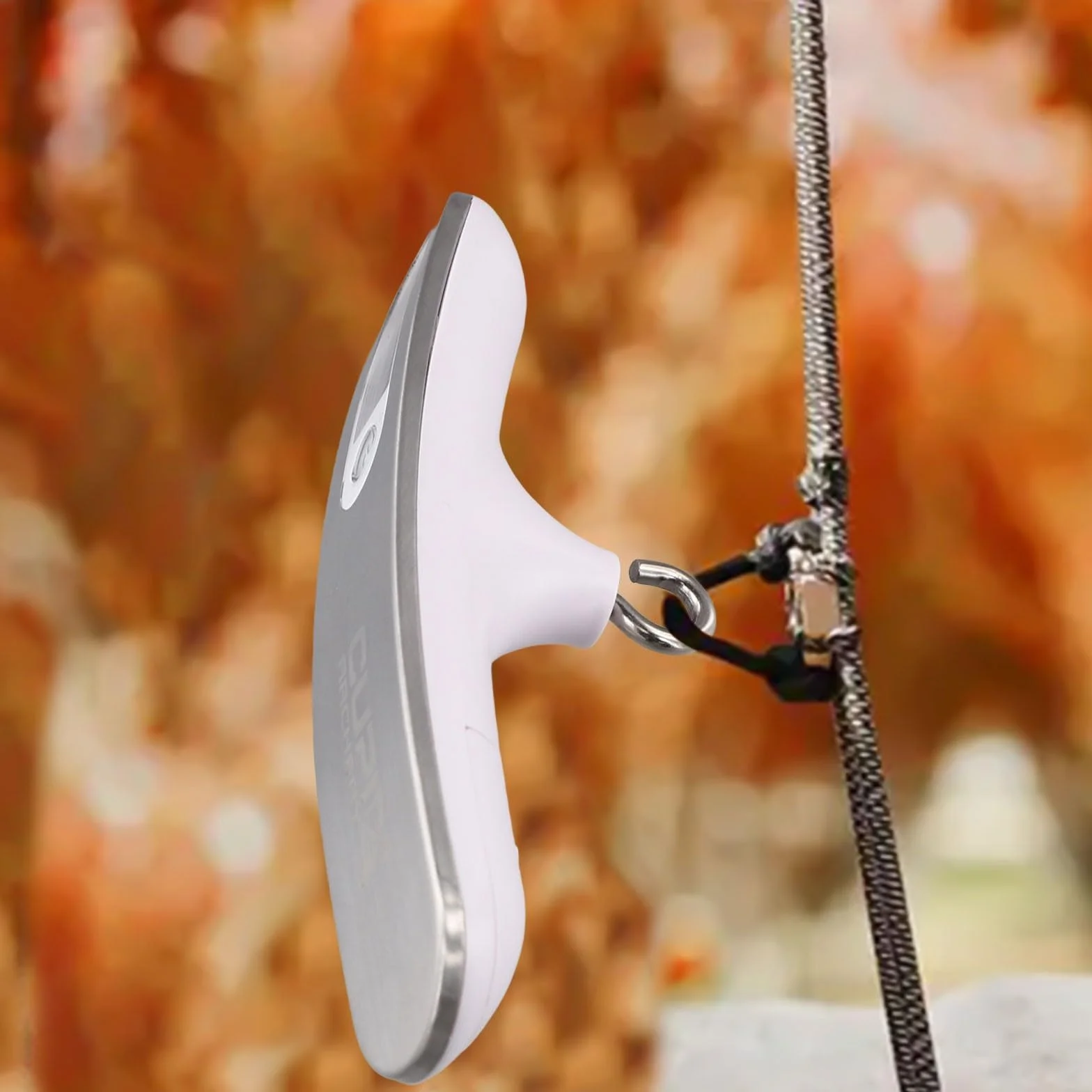 Balance numérique pour arc composé ou recourbé, mesure jusqu'à 50 kg