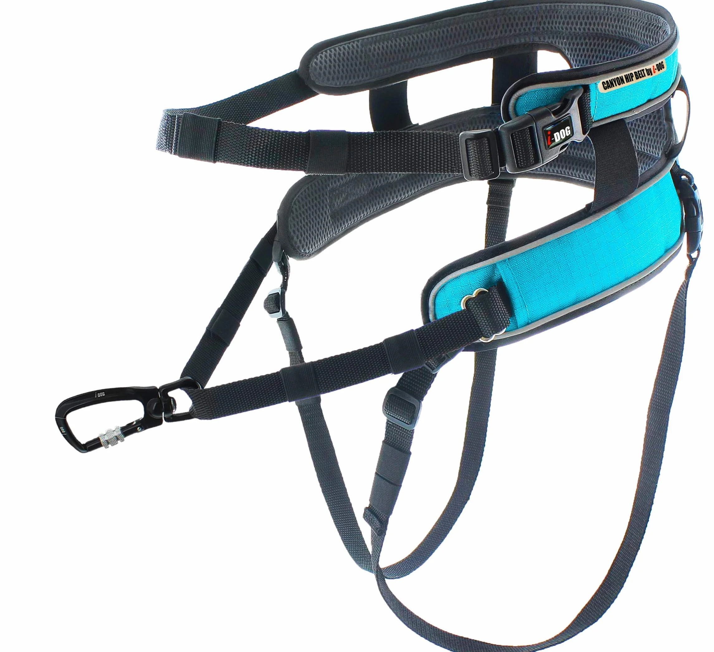 Baudrier Canyon Gamme ALM Bleu cani Cross Rando Jogging Trail I-dog