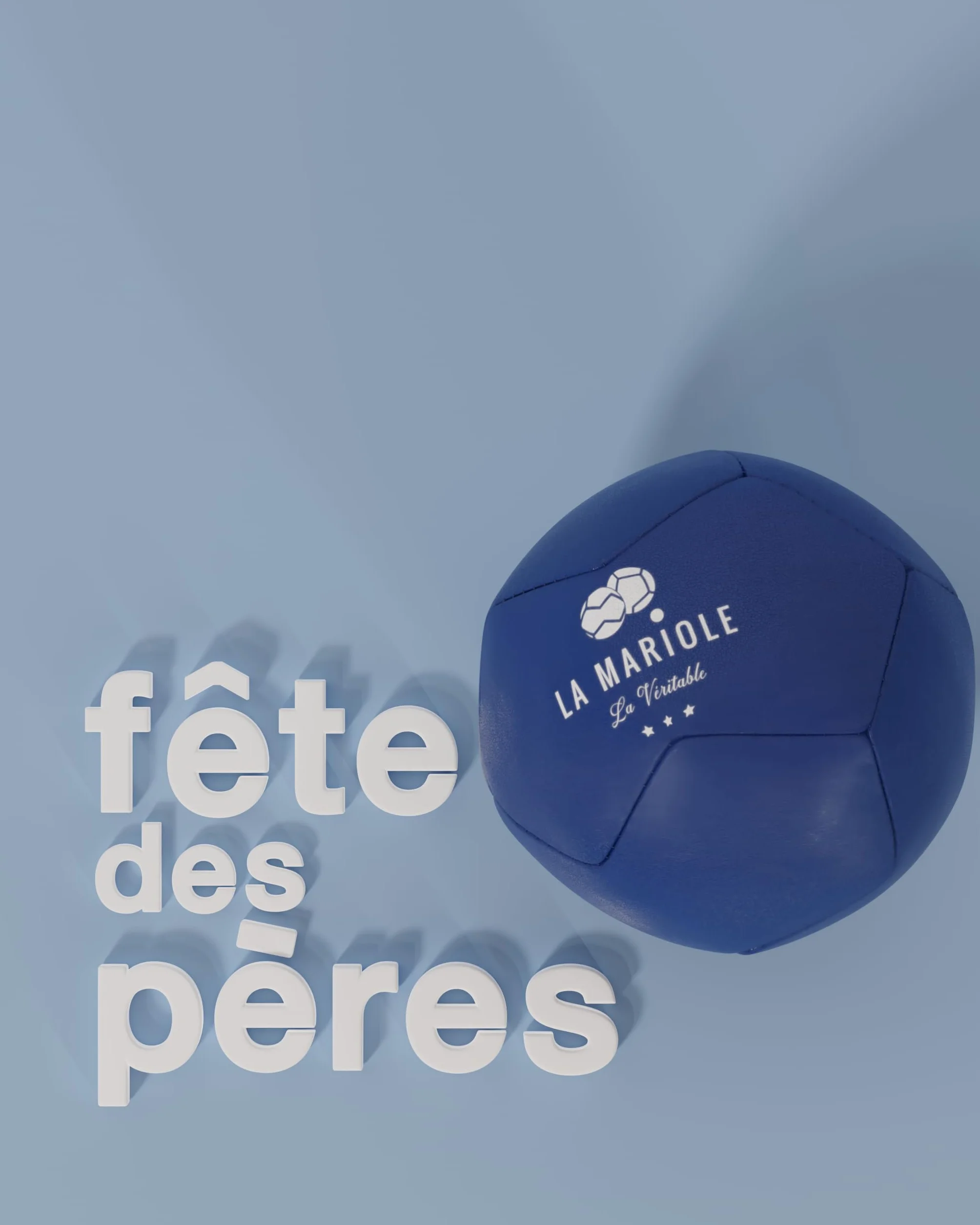 LA MARIOLE Jeu de Boules de Pétanque Tout Terrain Intérieur Extérieur Pack Officiel V4