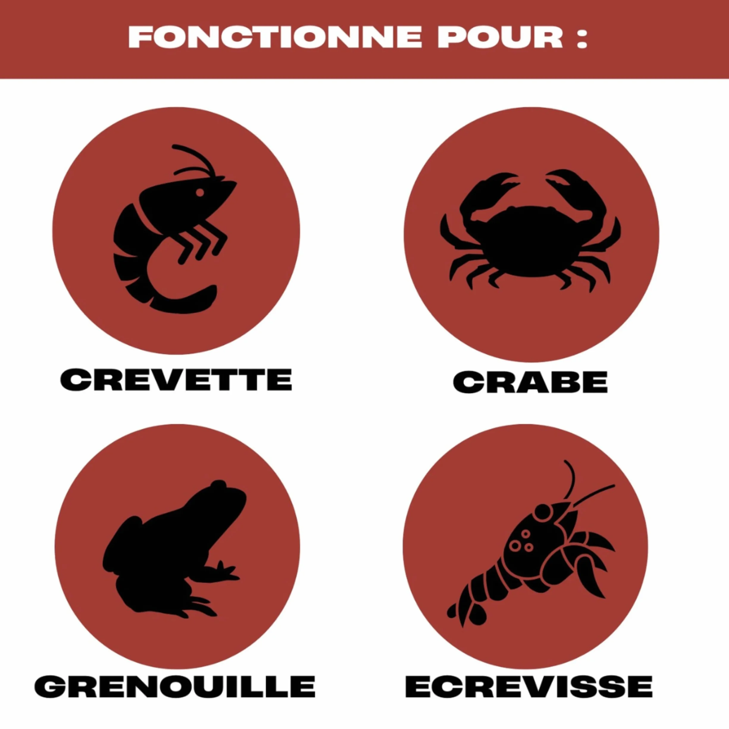 Nasses À Écrevisses Lot De 3 Grand Diamètre Corde 4,5m Épingle À Appât Filets Capture Écrevisses Crabes Crevettes