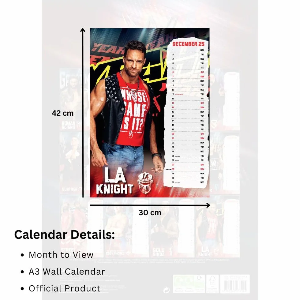 WWE Men A3 Calendar 2025