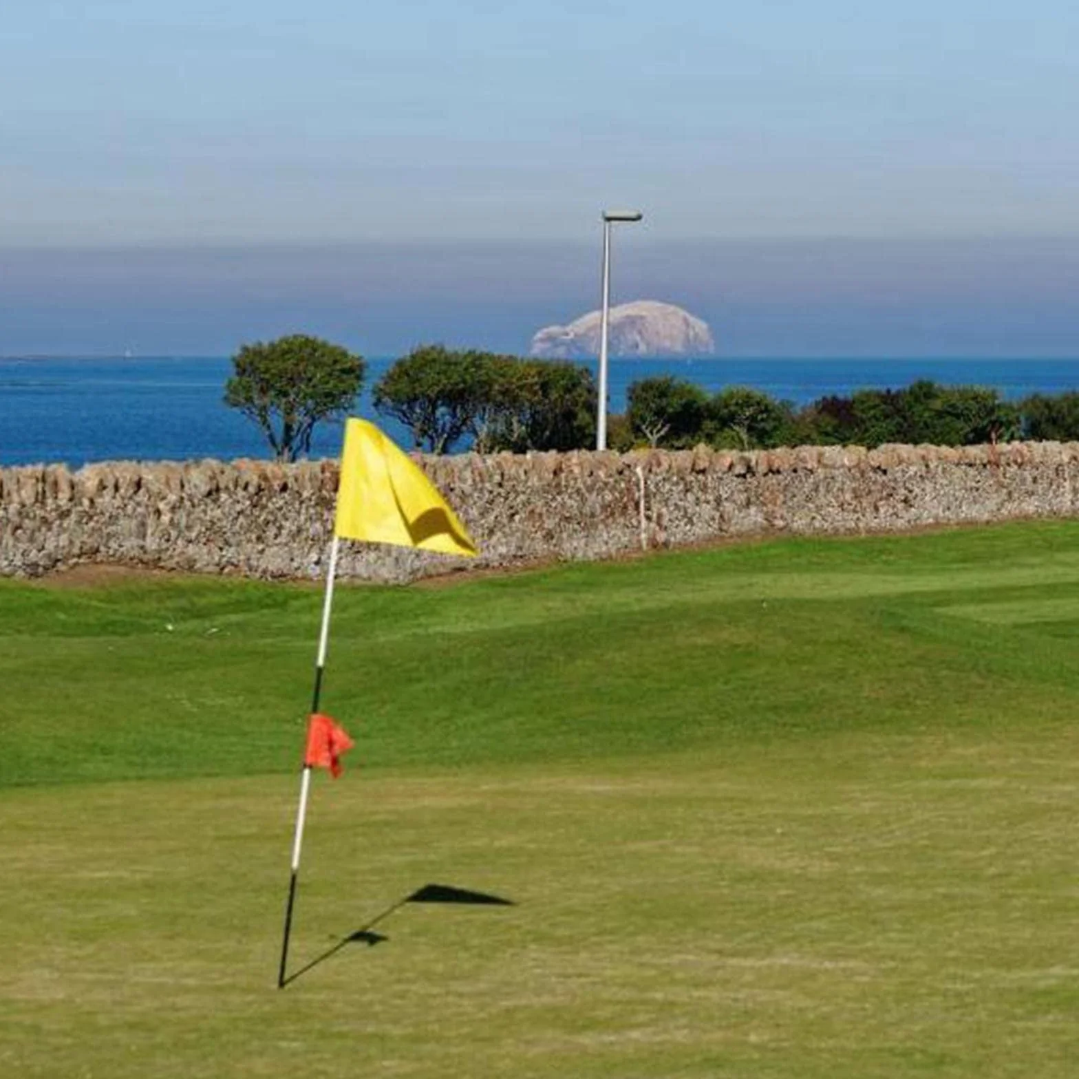 Drapeau de golf couleur unie 24,5 cm x 15 cm pour cour blanche