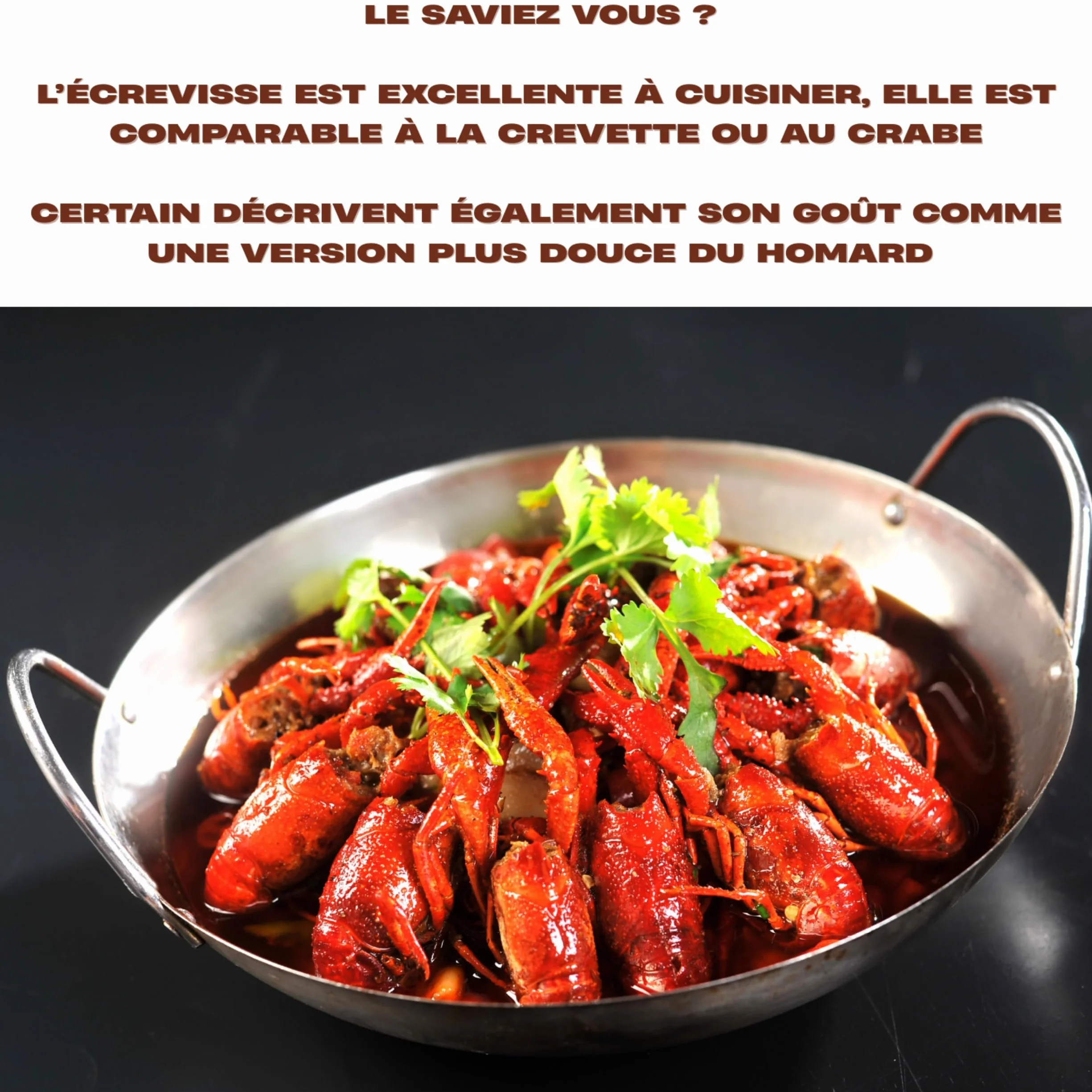 Nasses À Écrevisses Lot De 3 Grand Diamètre Corde 4,5m Épingle À Appât Filets Capture Écrevisses Crabes Crevettes