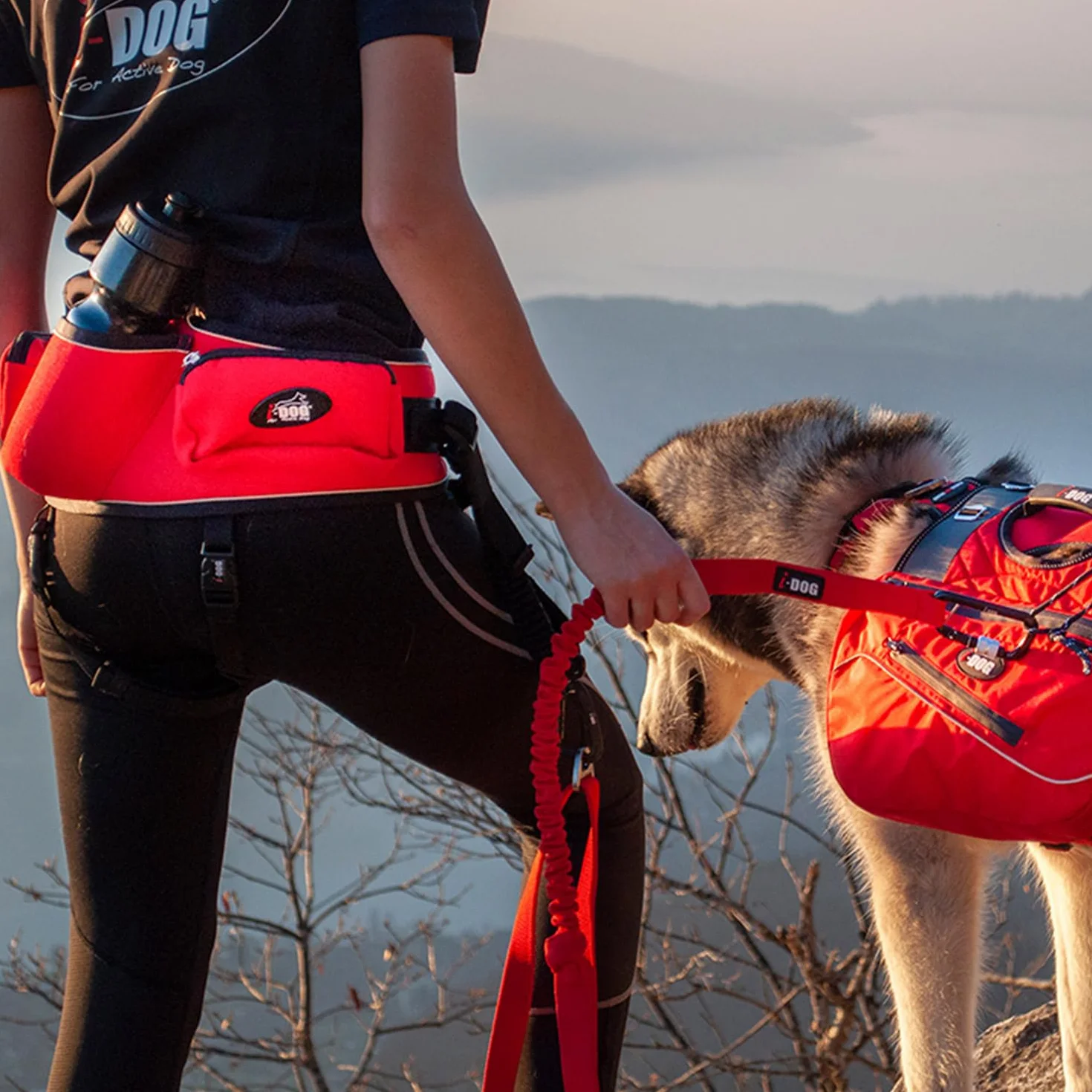 Baudrier Canicross Confort Trek I-DOG Taille Unique Rouge