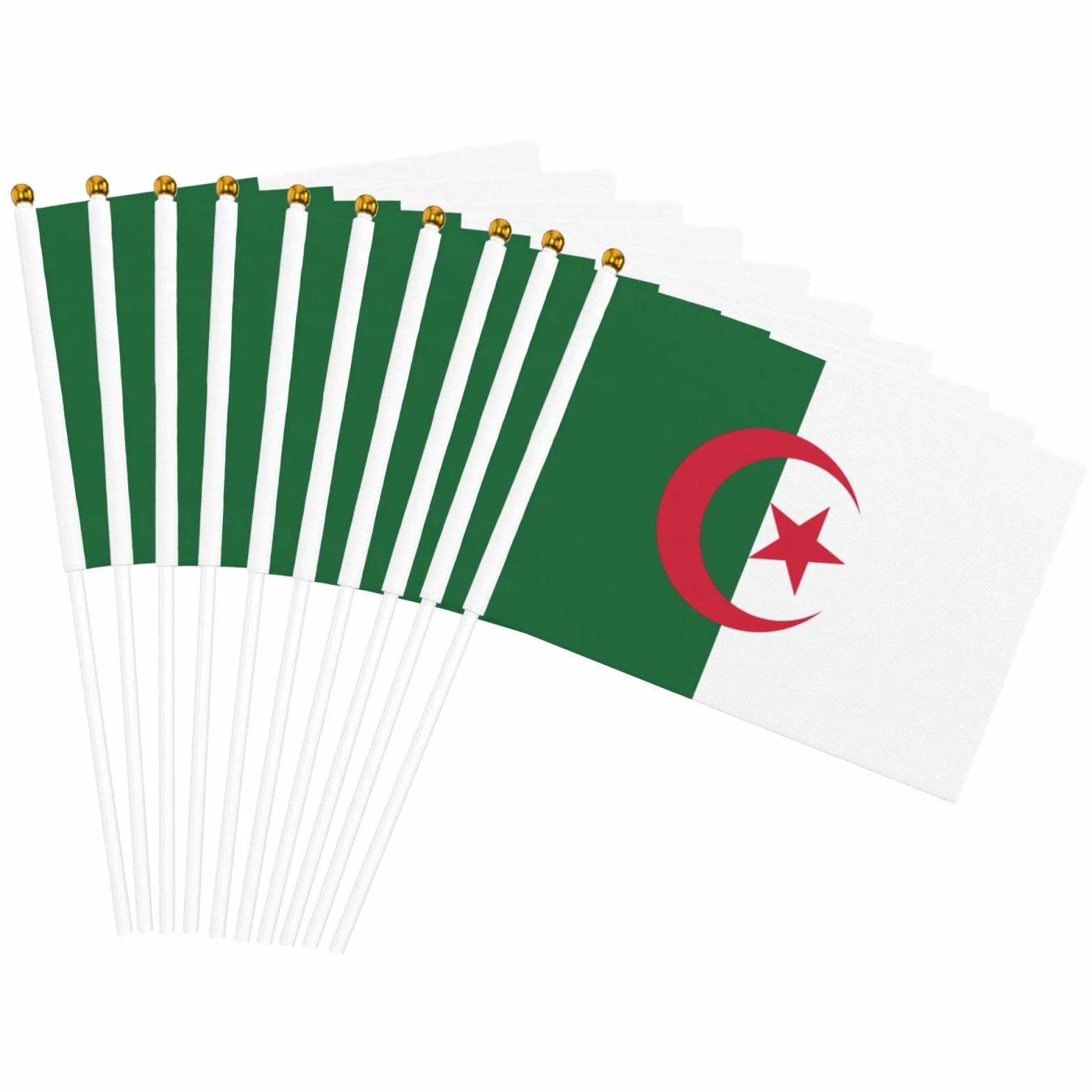 Lot de 10 mini drapeaux de l'Algérie à main sur bâton pour fête et défilés