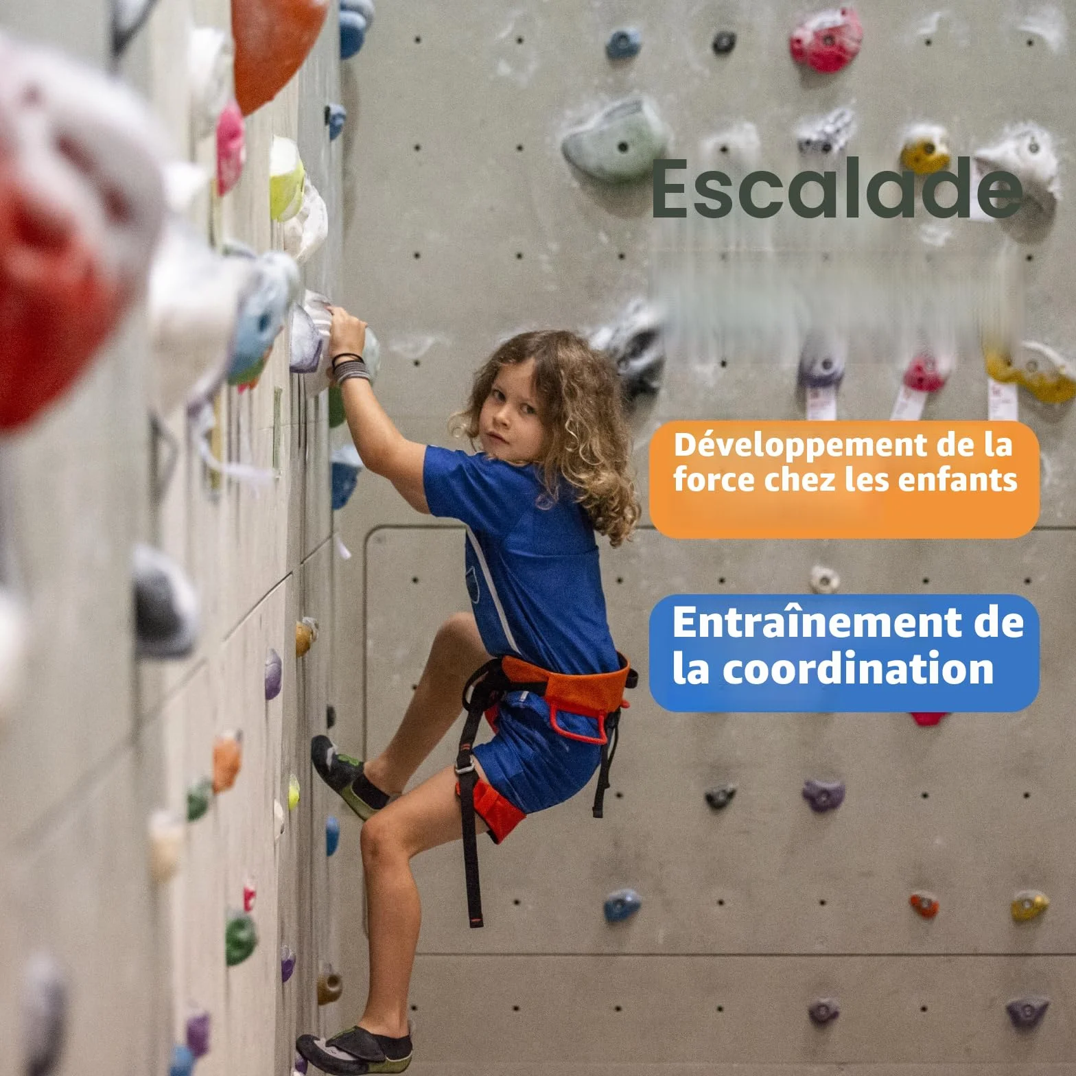 CIMOYBAI Prises d'escalade pour Enfants Multicolores avec Vis de Fixation pour Murs d'escalade