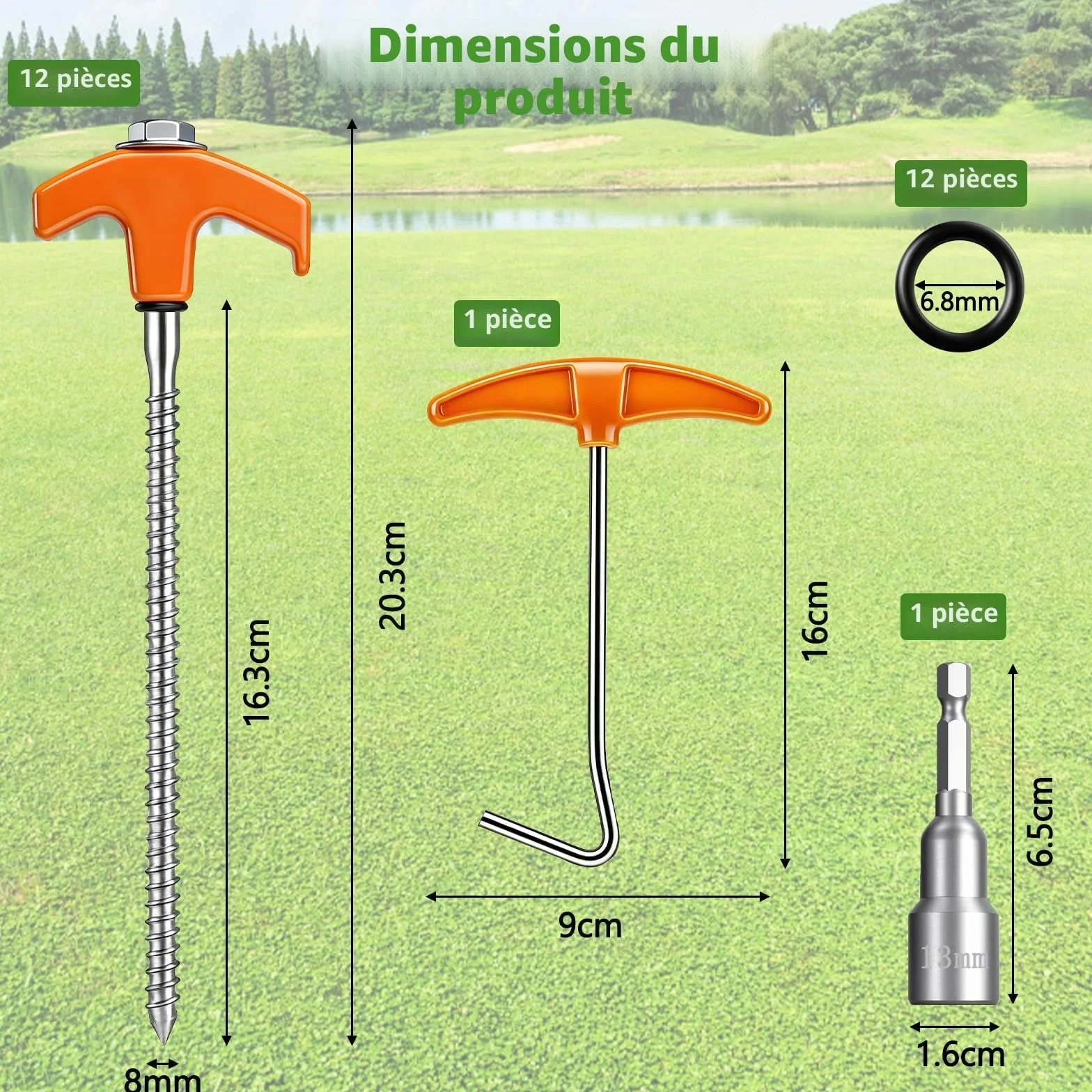Piquet de Tente à Visser Lot de 12 Sardines Fixation Acier Douille Hexagonale Extracteur Camping