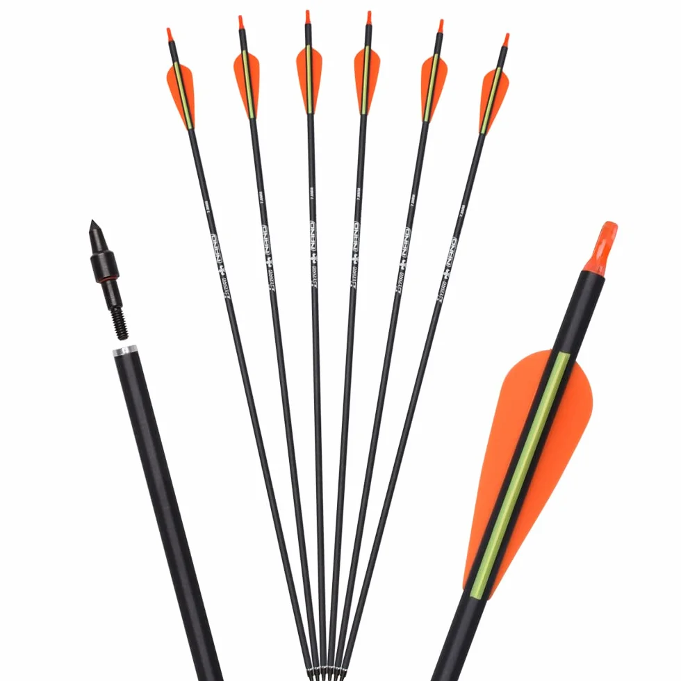 Flèches de Chasse en Carbone 100 Grains Pointes Amovibles pour Tir à l'Arc Composé Classique Traditionnel Lot de 6/12