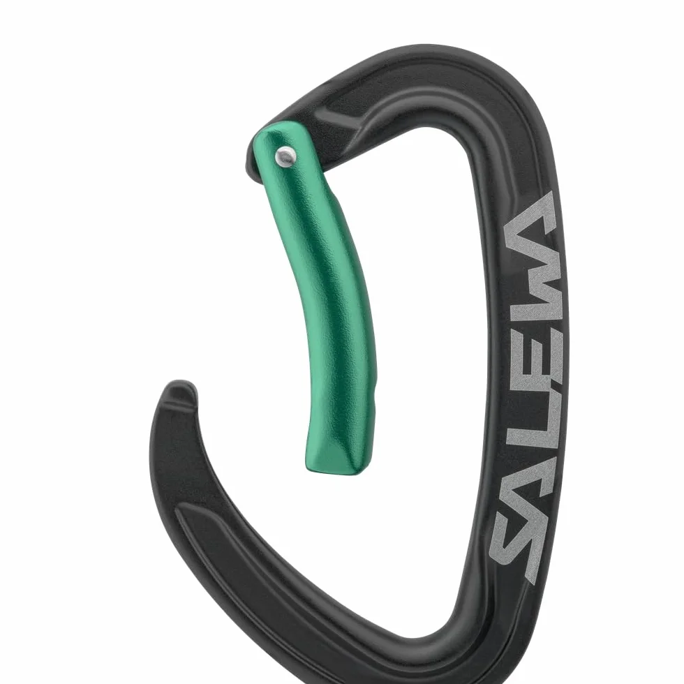 Salewa Ortles Carabiner