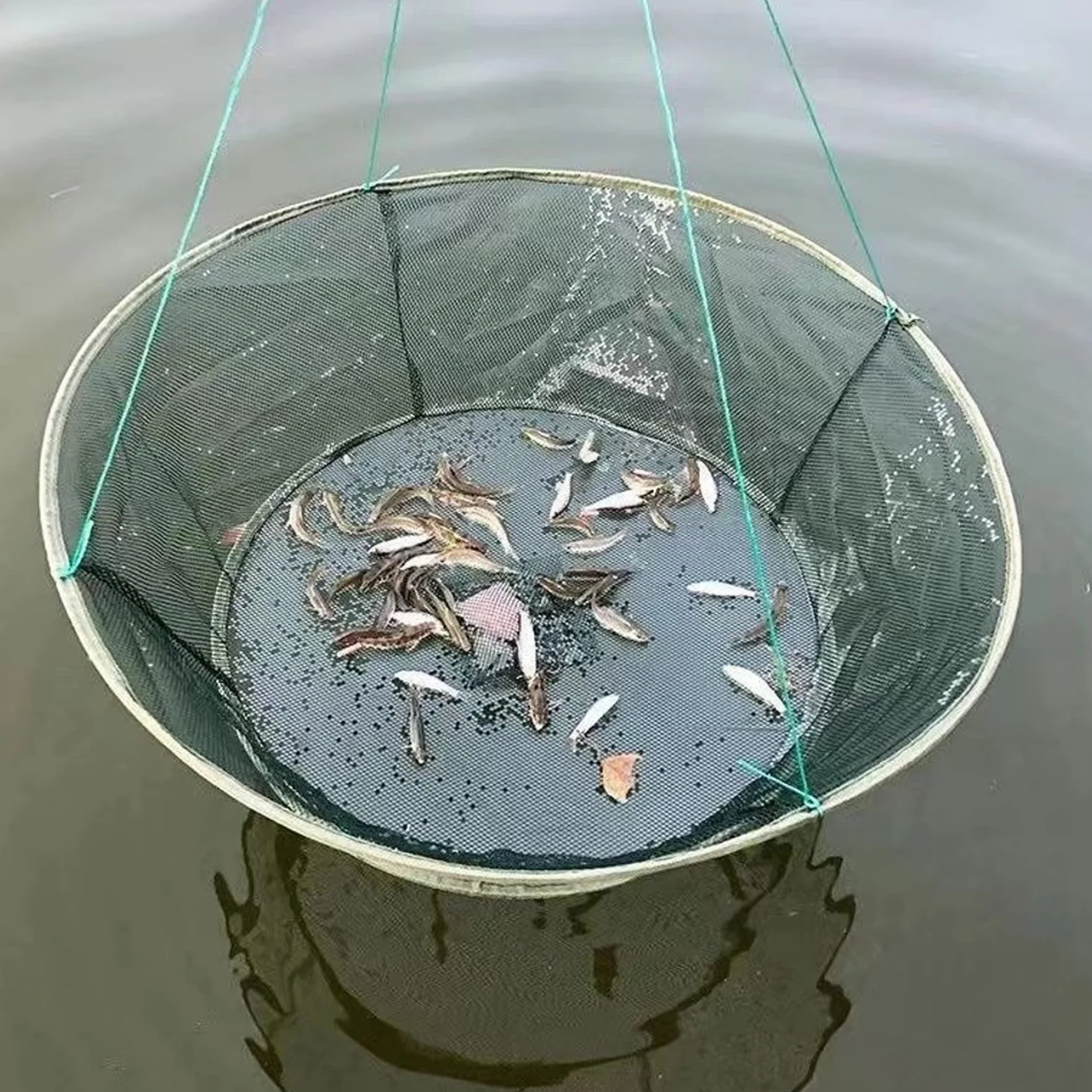 Filet de Pêche Pliant Portable Piège à Mailles pour Ménés Homard Crevettes Crabe