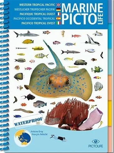 Pacifique Asiatique Asian Pacific Marine Pictolife