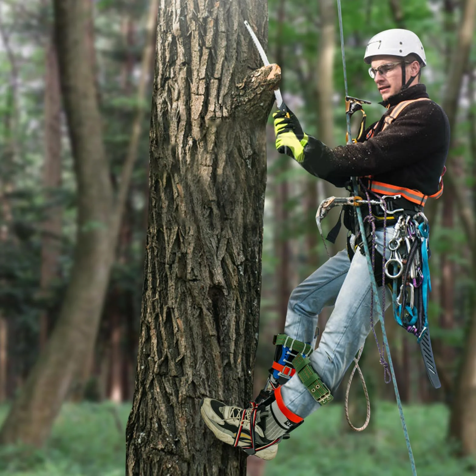 Kit d'équipement d'escalade pour arbres, crampons forestiers, pointes avec bande de sécurité