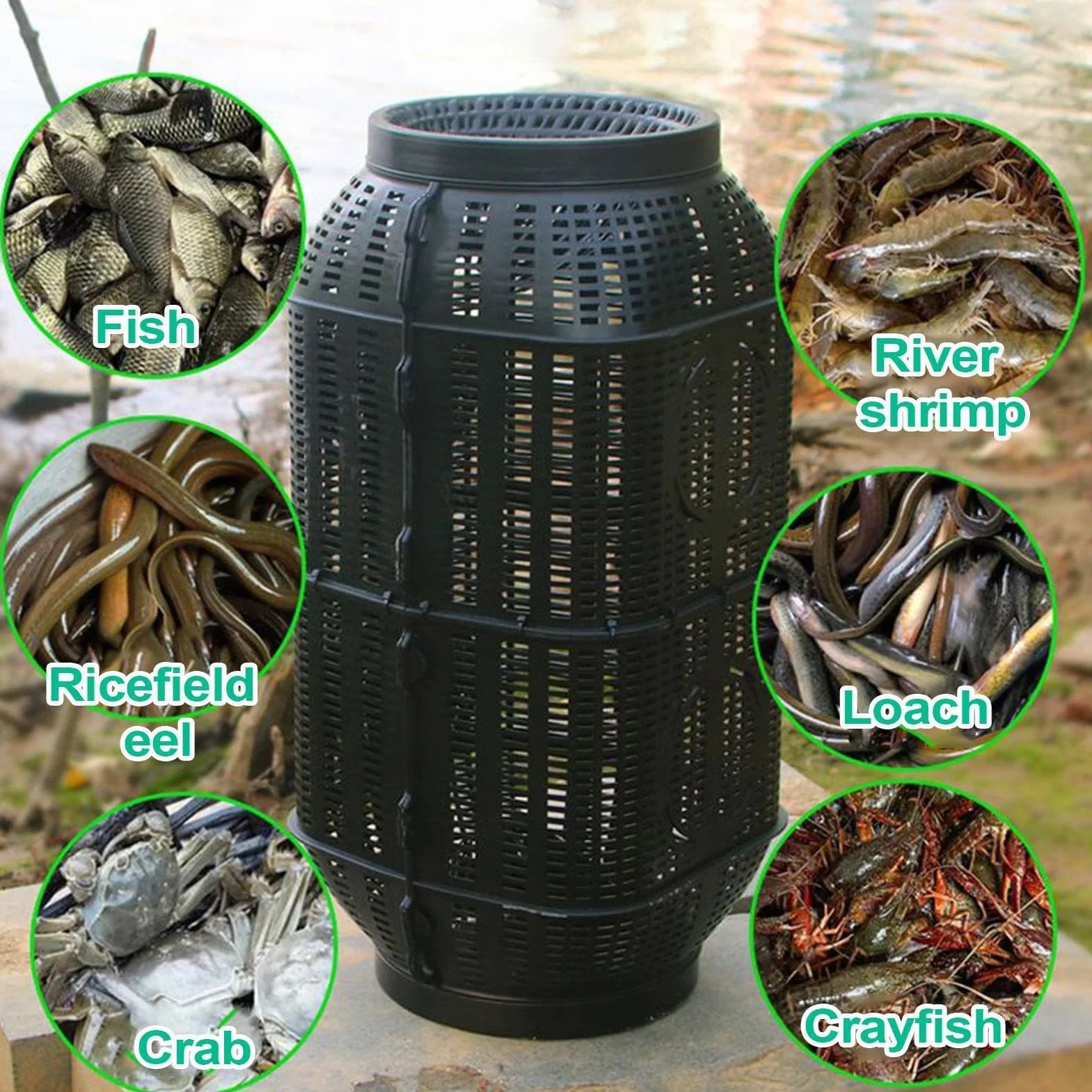 Piège À Poisson PP 35/50cm Nasse À Écrevisses Portable pour Pêche Anguille Eau Douce Salée Étang Lac Rivière