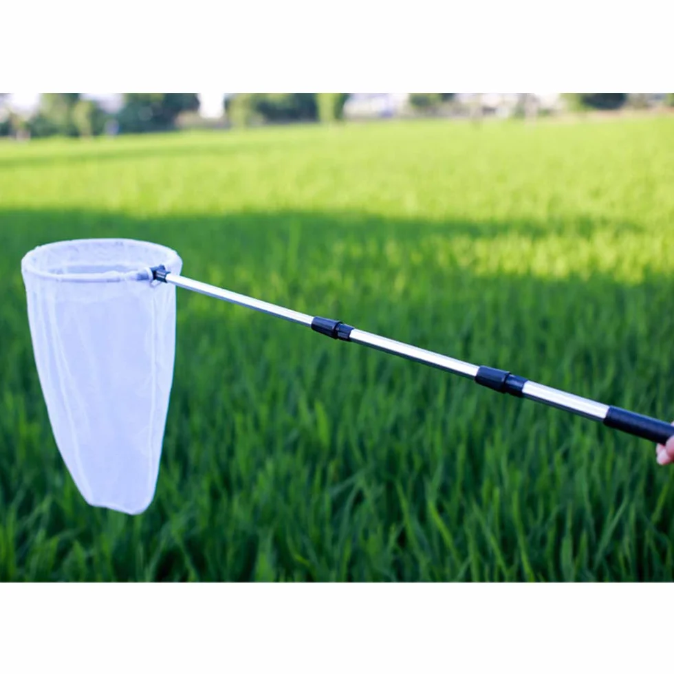 Filet télescopique pour insectes et papillons, capture d'insectes, anneau 28 cm, manche extensible 93 cm