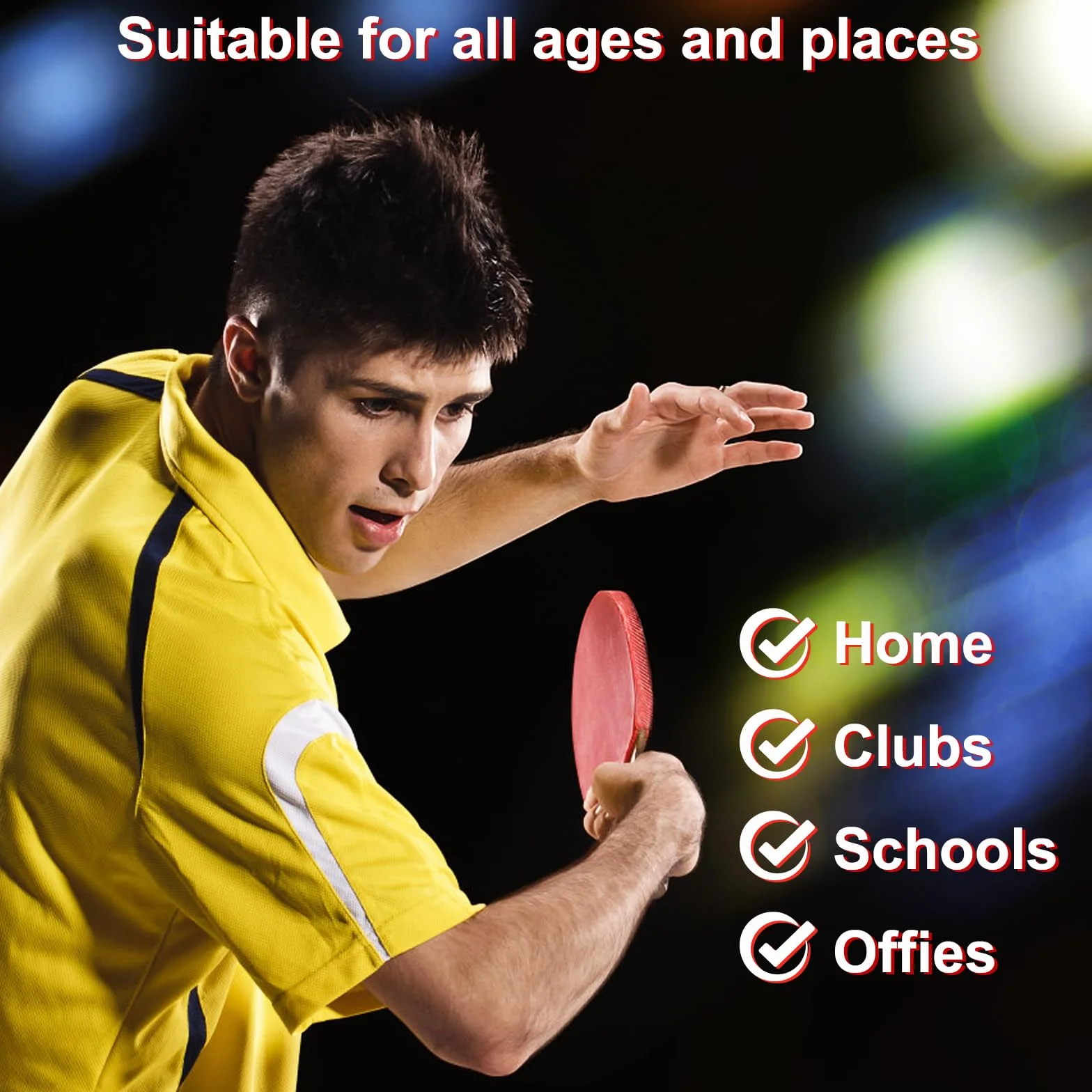 Set de Tennis de Table 2 Raquettes 6 Balles Filet Rétractable Sac de Transport Ping Pong Kit