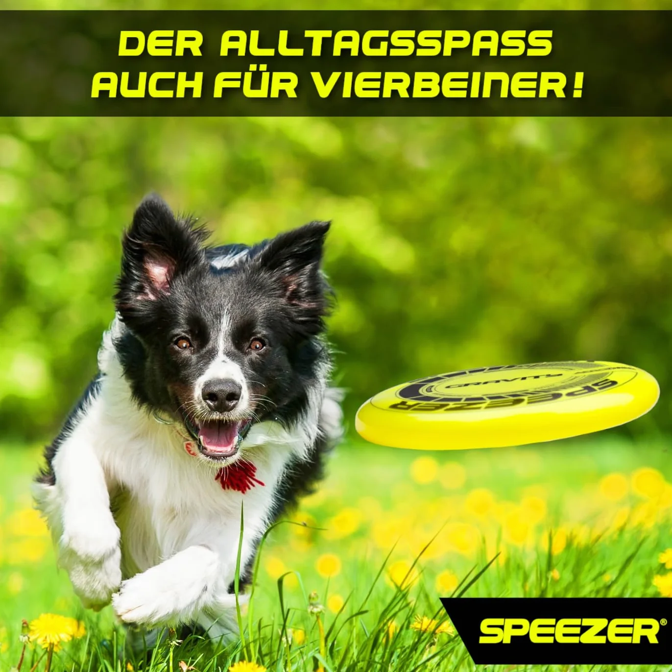 SPEEZER® Gravity Frisbee 175 g – Disque de lancer professionnel jaune fluo – Jeu de sport en plein air – Frisbee pour enfants et adultes