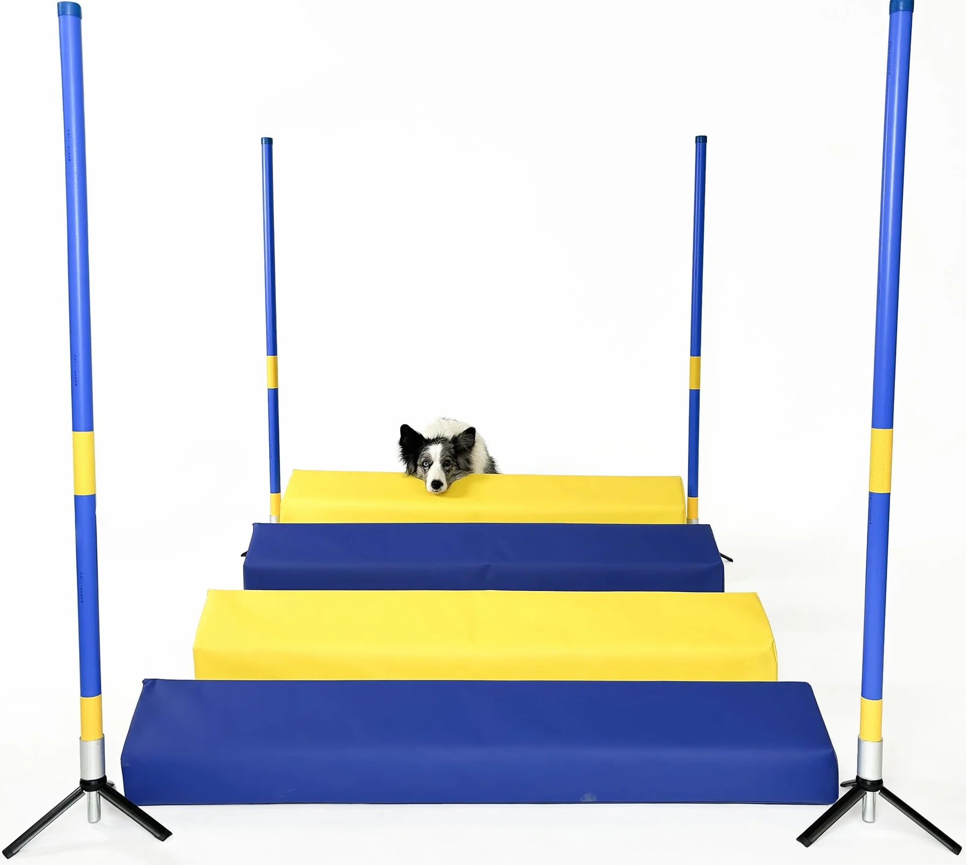 Callieway Agility Saut en Longueur Soft – Noyau en Mousse, 4 Jalons, Sac de Transport, CNEAC+FCI (Bleu-Jaune)