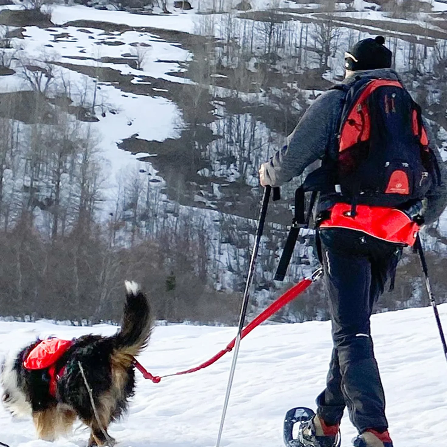 Baudrier Canicross Confort Trek I-DOG Taille Unique Rouge