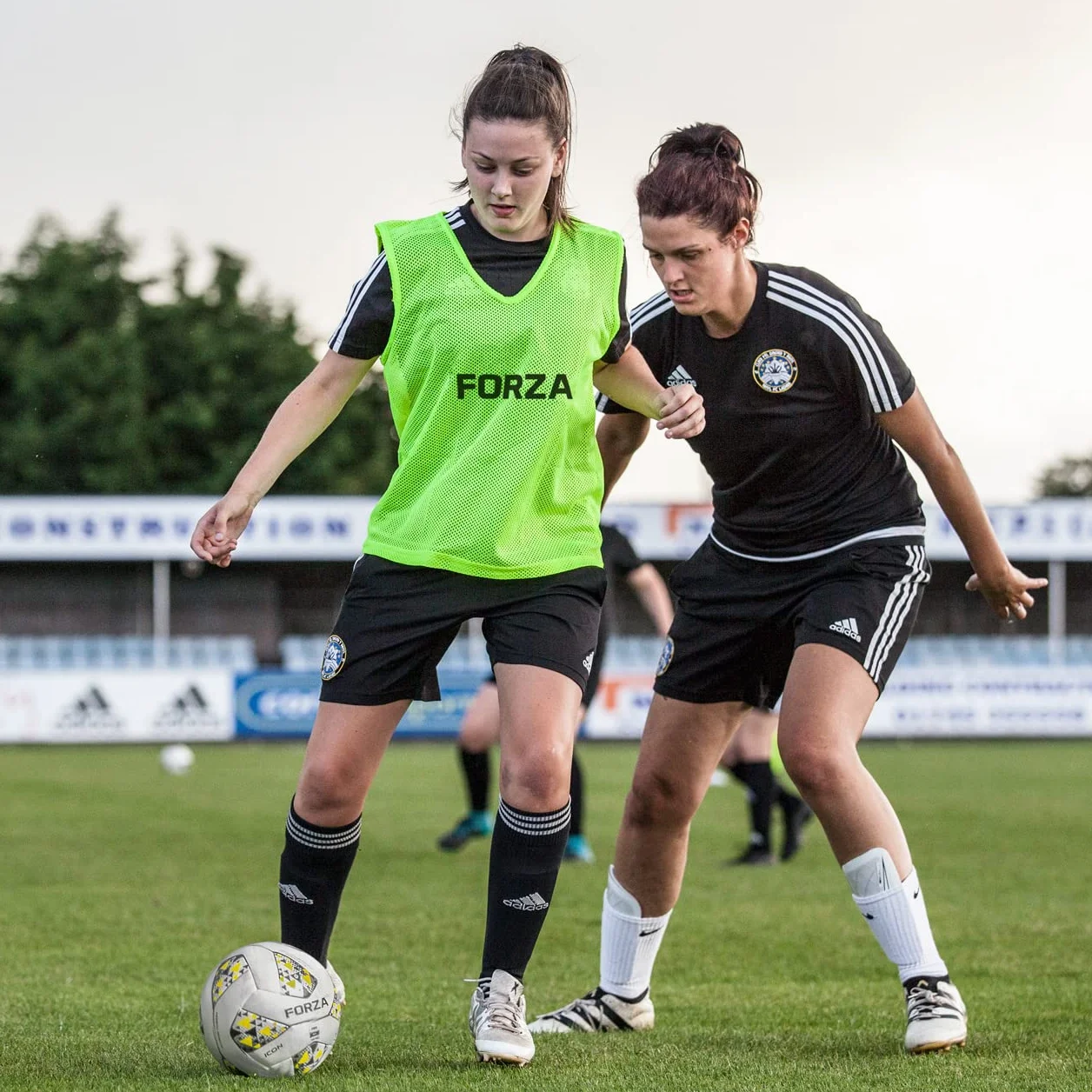 FORZA Chasubles d’Entraînement Pack de 15 | Léger, Tailles/Couleurs Multiples pour Adultes et Enfants | Football, Rugby, Hockey, Handball