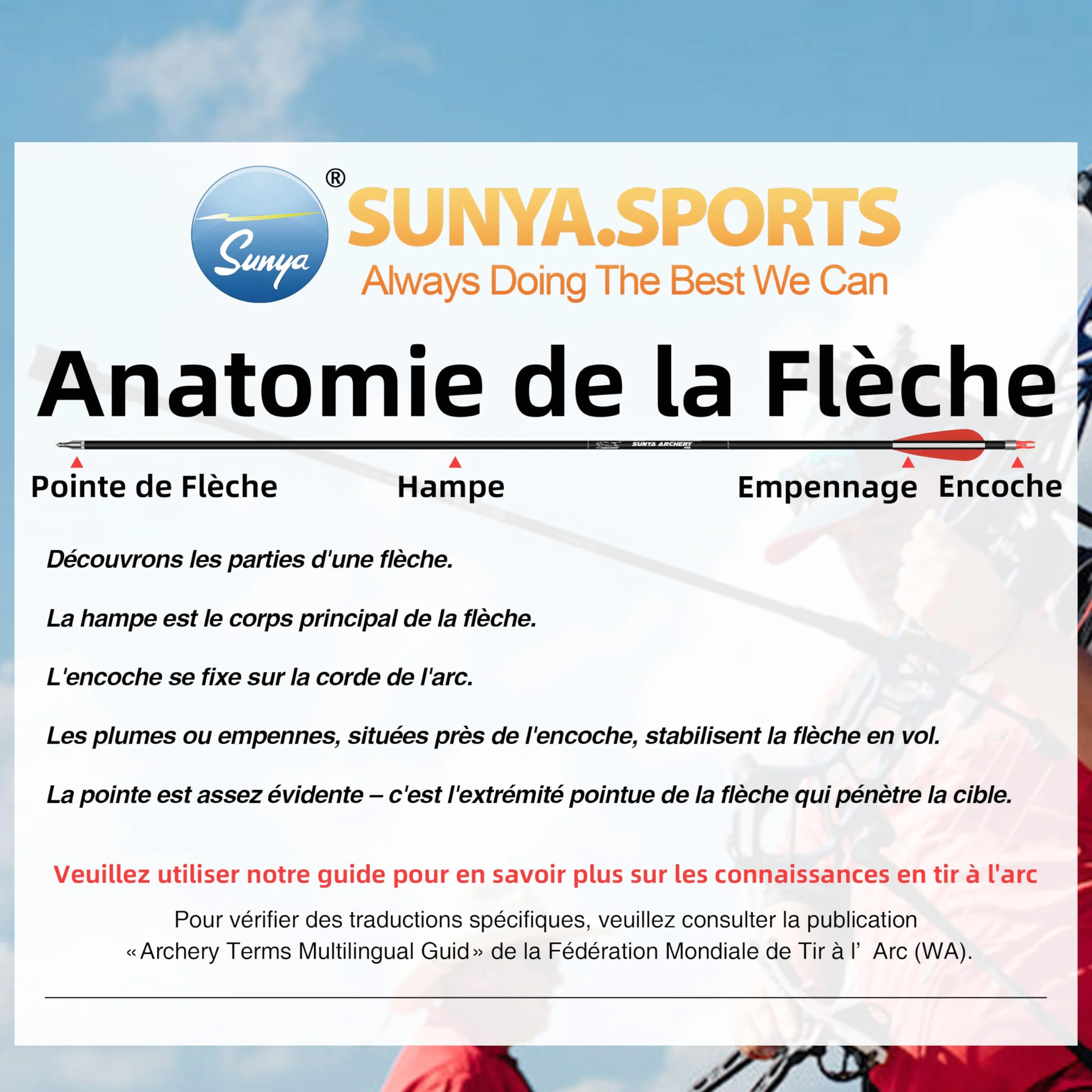 Sunya Flèches de Chasse Carbone 30 Pouces Spine 400/500 Pointes Amovibles Lot de 12 pour Arc à poulies et Recurve