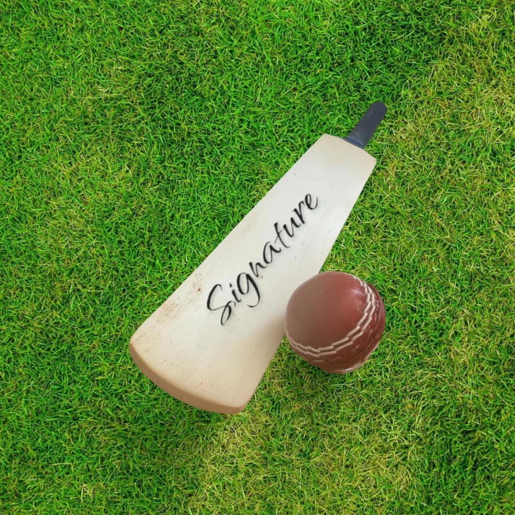 Mini batte de cricket vierge 40 cm pour signatures joueurs collection amateurs bois de saule