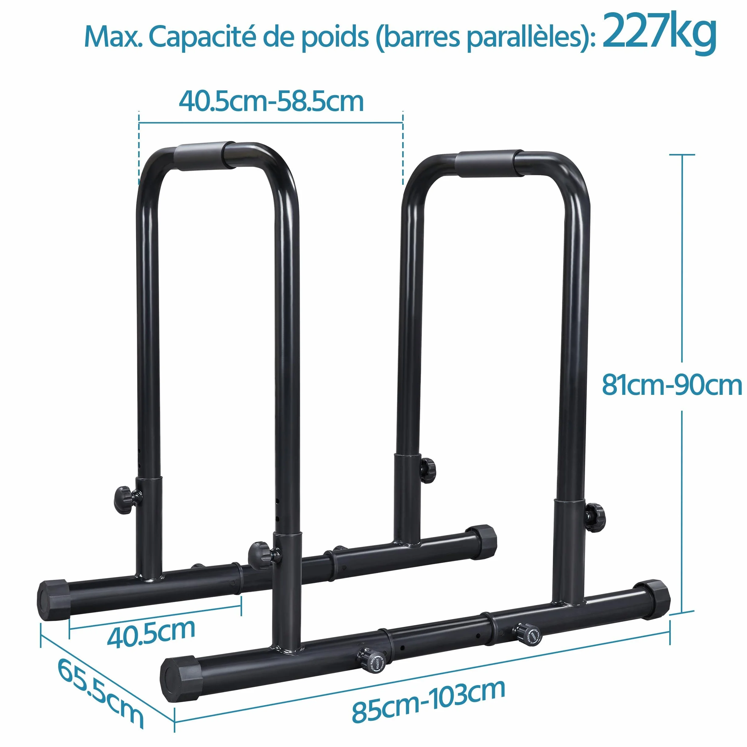 Barres de Dips Ajustable, Barres Parallèles Gym, Station de Musculation pour Tractions, Pompes, Charge Maximale 227kg