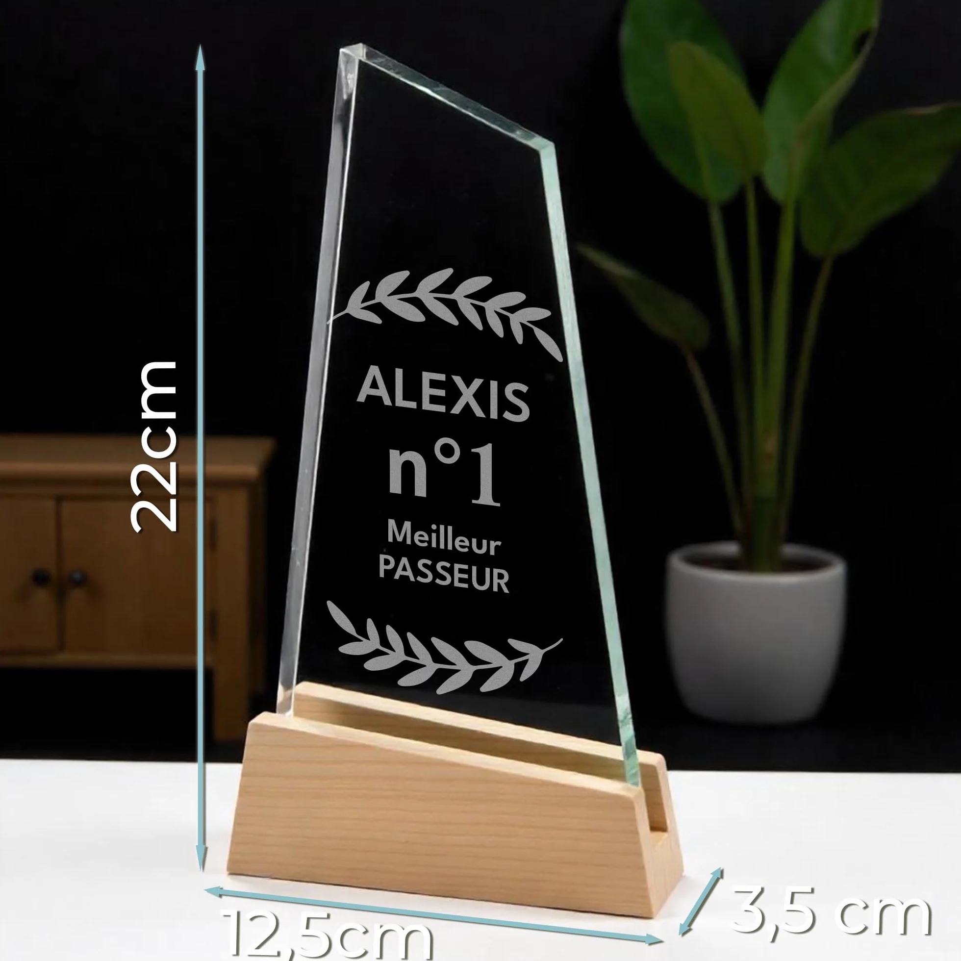 Trophée Personnalisable Base en Bois avec Verre Gravé - Coffret Cadeau