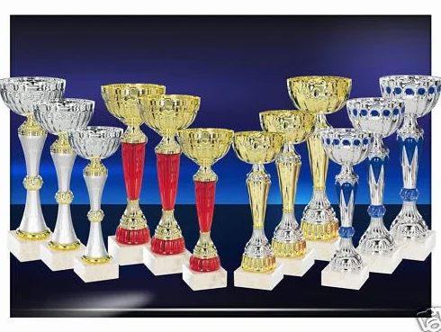 Lot de 12 Coupes trophées récompenses 22-27 cm