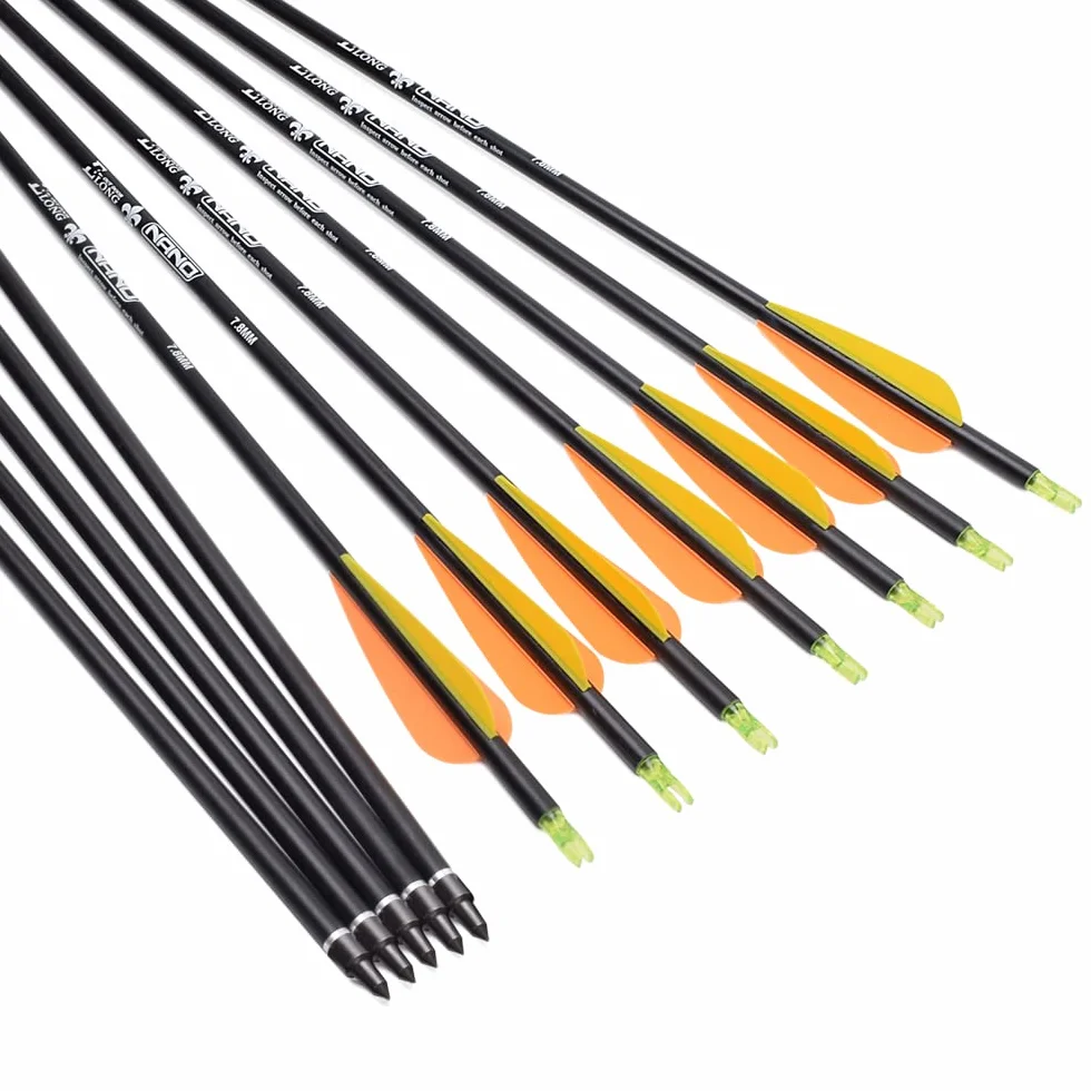 Flèches de Chasse en Carbone 100 Grains Pointes Amovibles pour Tir à l'Arc Composé Classique Traditionnel Lot de 6/12