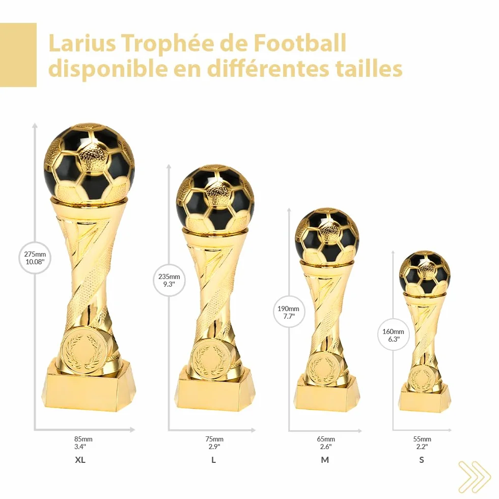 Larius Coupe de Football
