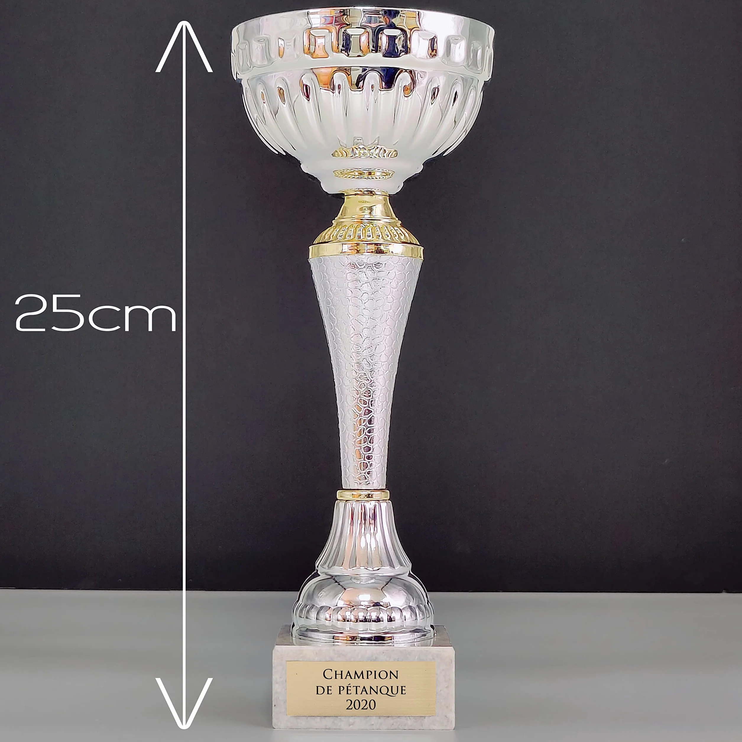 Trophée Personnalisable avec Gravure - Coupe Argentée et Dorée - Cadeau Fête des Pères, Noël, Retraite