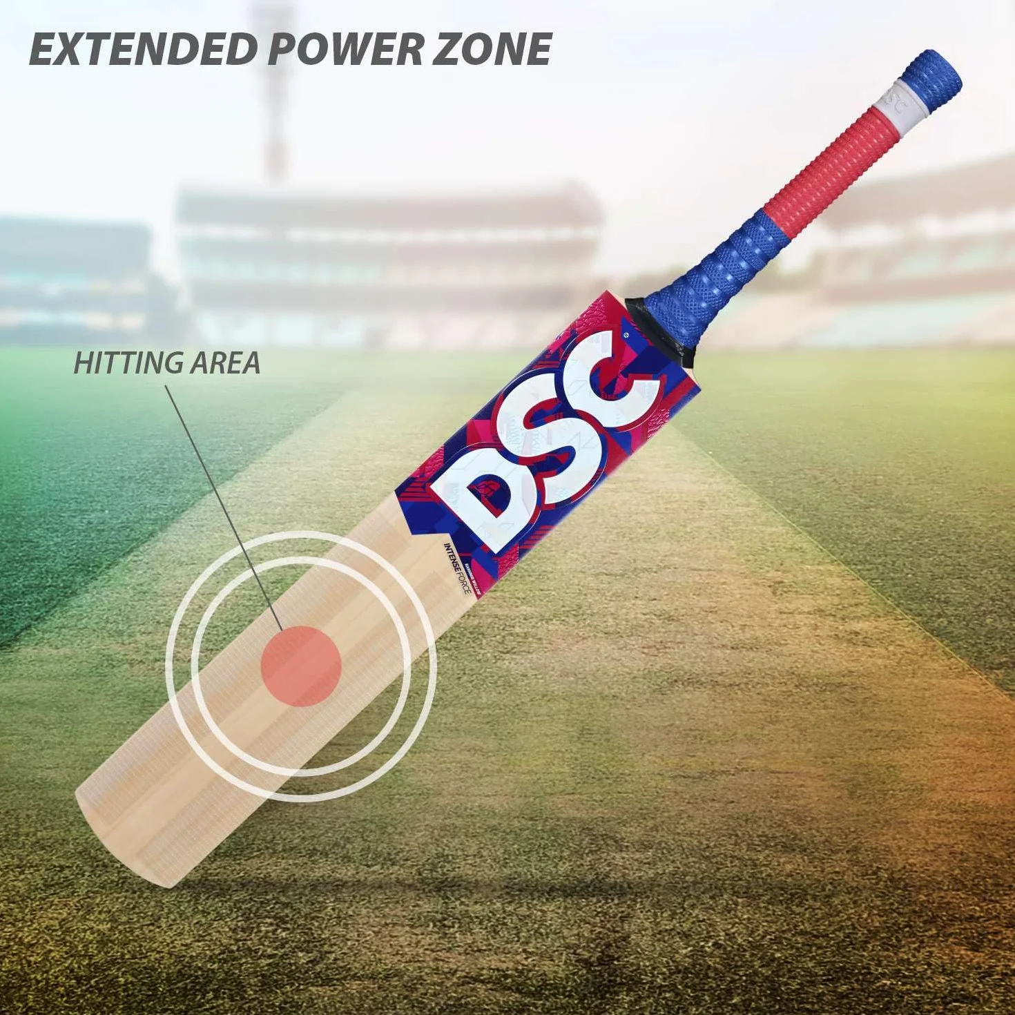 DSC Intense Force Cricket Bat Kashmir Willow Wood Lightweight for Men Boys Intermediate Leather Ball