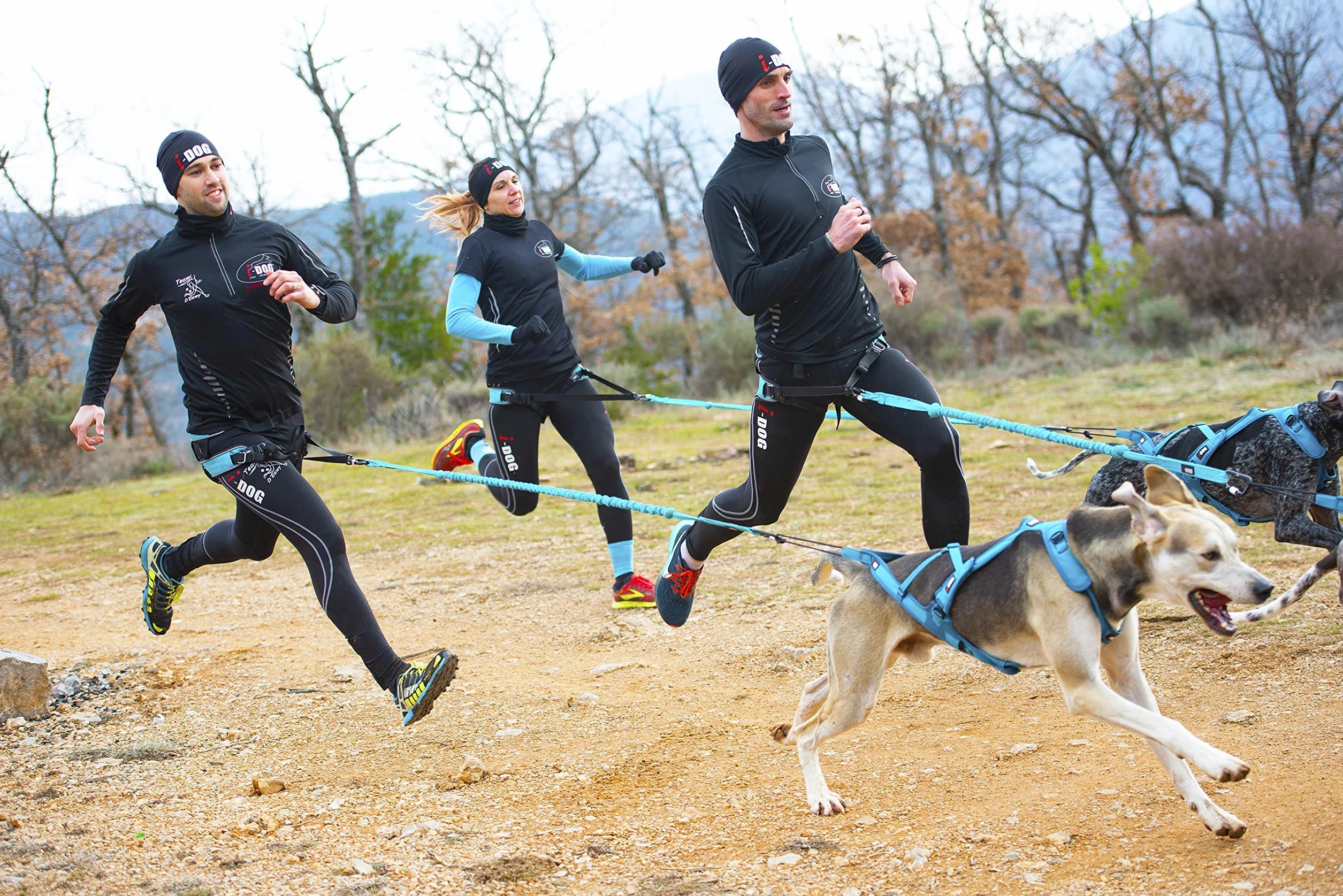 Baudrier Canyon Gamme ALM Bleu cani Cross Rando Jogging Trail I-dog
