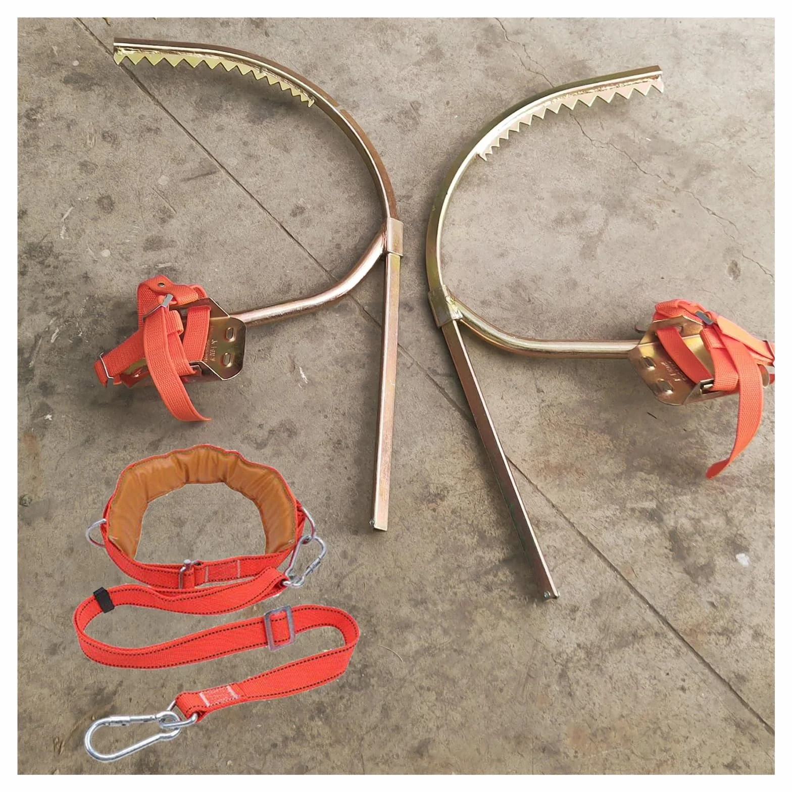 Kit d'élagueur Griffe Elagage Crampons avec Pédale Antidérapante pour Arbres