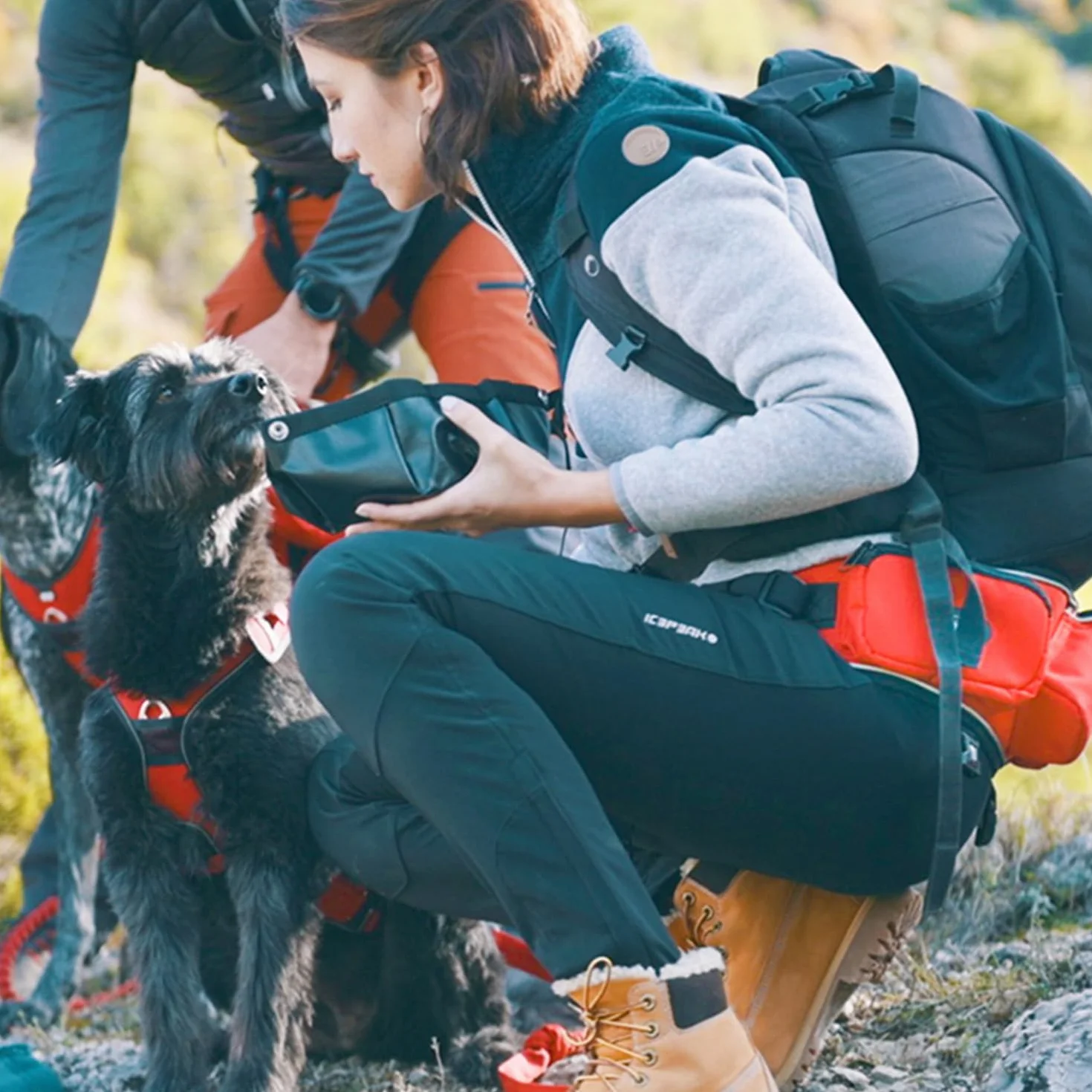 Baudrier Canicross Confort Trek I-DOG Taille Unique Rouge